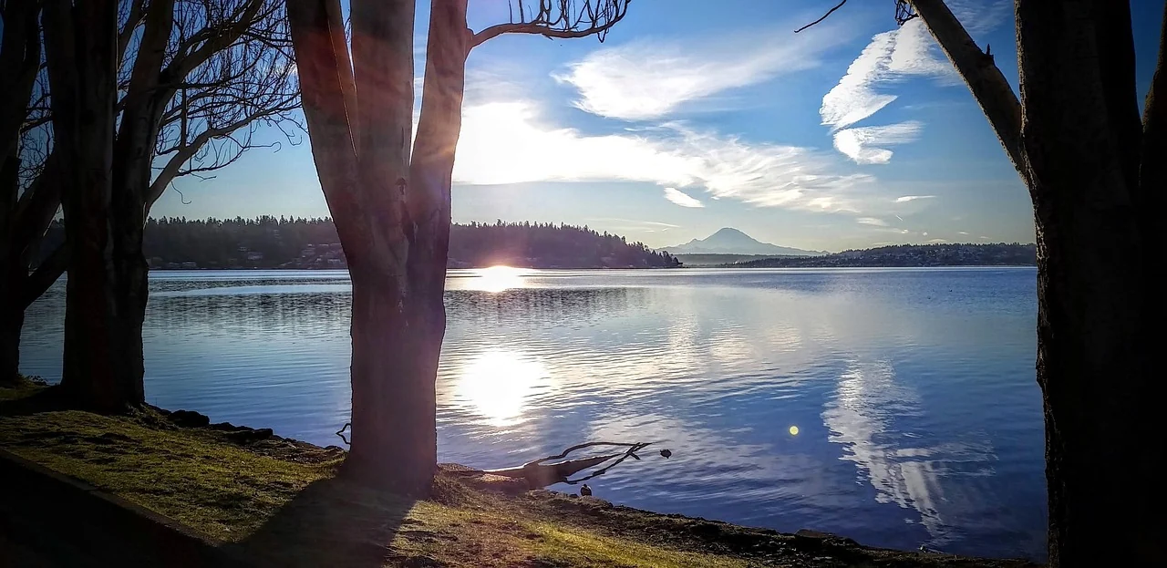Trees frame Lake Washington with Mount Rainier visible in the distance